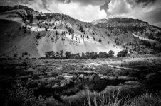 Antelope Creek (1 of 1).jpg