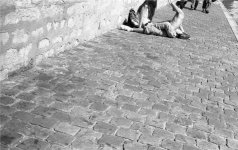 M2 Summicron TriX005.jpg