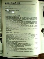 chinese Red Flag info 001 (Medium).jpg