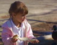 Girl-Geese-1.jpg