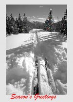 SeasonsGreetings2.jpg