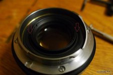 P1140014_.jpg