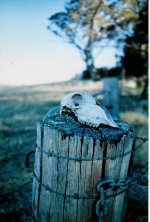 Rangefinder_ricoh_500G.jpg