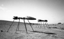 ants1.jpg