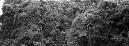 20101225A__0096.jpg