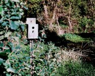kodak.35.birdhouse.jpg