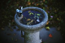 004_18.jpg