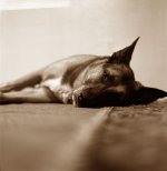 Jack-003_2.jpg
