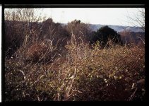 Multipurpose with a Contax G2 008.jpg