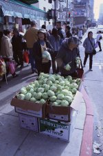onions.jpg