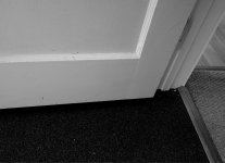 door3.jpg
