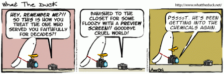 WTD film vs digi.gif