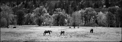 031020-BW09lessbig.jpg