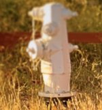 Screen Shot 2020-10-28 at 13.25.04.jpg