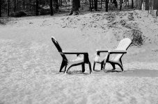 chairs web.jpg