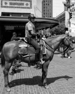 B&W-Horsin'-Around-01rff.jpg