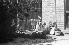BW103_24.jpg