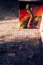 Summicron Velvia50 Donaukanal Grafitti Maxerl copy.jpg