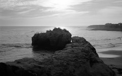Birds at Natural Bridges Sunset.jpg