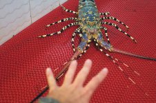 _EPS1025smaller.jpg