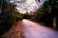 008_8.JPG