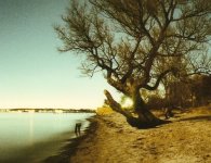 scan0004p.jpg