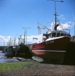 Anster1997.jpg