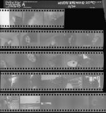 sheet021610a.jpg