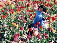 Dance of the Tulips-Color.jpg