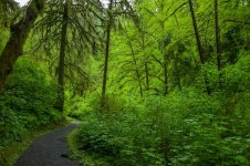 20170517-L1001205.jpg