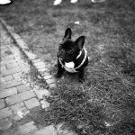 Untitled-26.jpg