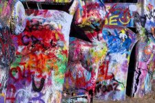45D3DC59-CD08-41D6-972A-1F7451B8BA49.jpg