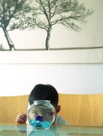 img17sized.jpg