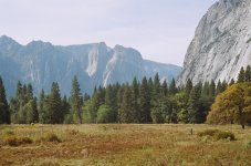 Valley Floor October 2006.jpg