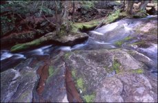 Catoctin Stream 02 500 pixels@72.jpg