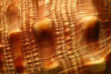 IMG_5627.JPG