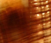 IMG_5627.jpga.jpg