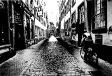 RFF critique Cyclist.jpg