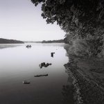 Marsh Creek 2.jpg