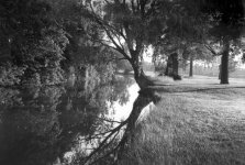 arista-100-d76-12-min-240-c.jpg