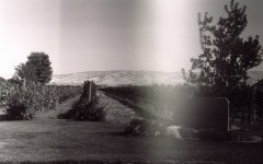 Image7aRFF.jpg