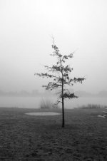 DSCF2219.jpg