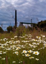 Royston Coking Plant.jpg