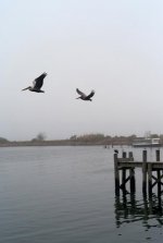 new pic s.jpg