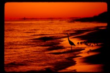 RFF Critique Session 38.jpg