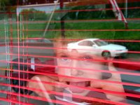 The Joy of Youth-01.jpg