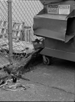 Neopan-Full-645.jpg