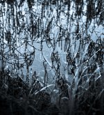 For Upload to Internet-5.jpg