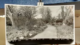 park6x17.jpg.jpg