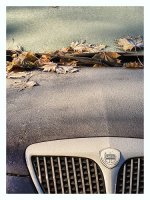 wintermorning.JPG